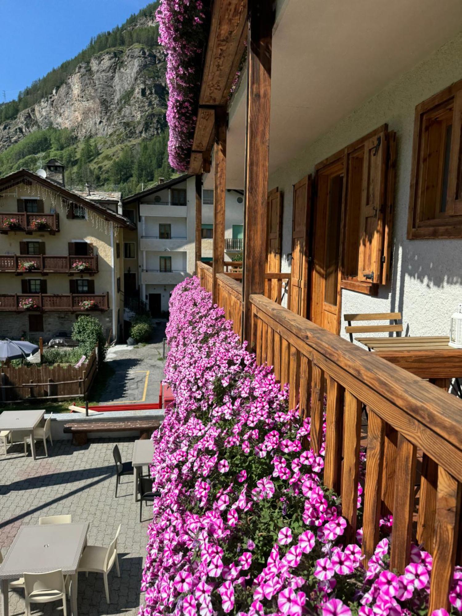 Hotel Ondezana Cogne Zewnętrze zdjęcie